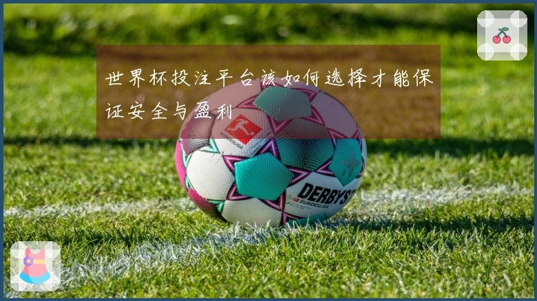 世界杯投注平台该如何选择才能保证安全与盈利