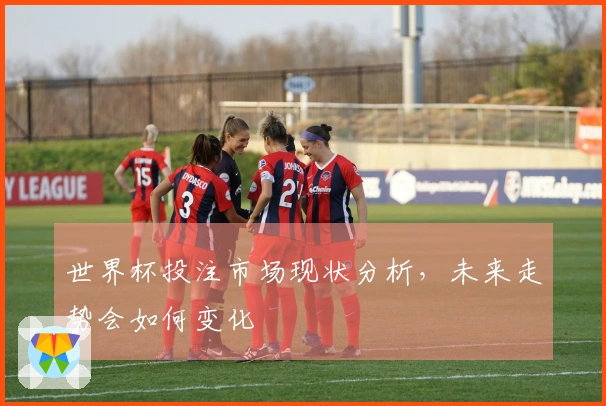 世界杯投注市场现状分析，未来走势会如何变化