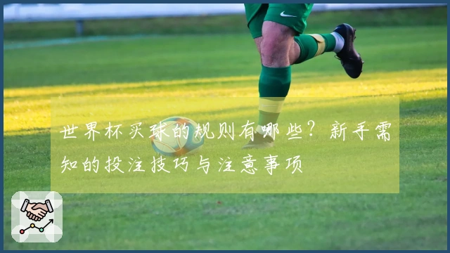 世界杯买球的规则有哪些？新手需知的投注技巧与注意事项