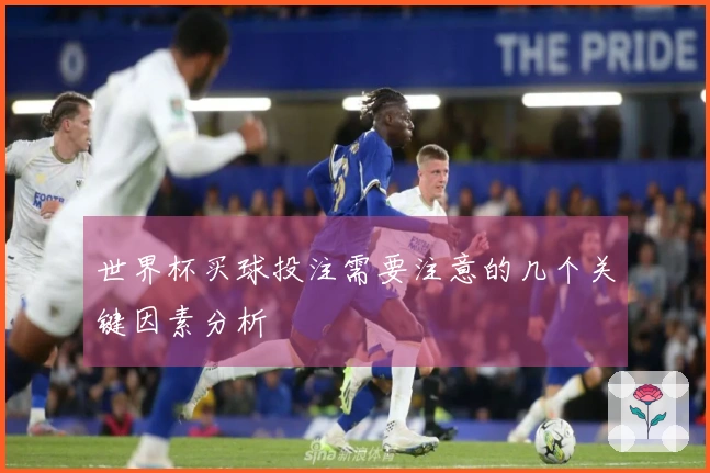 世界杯买球投注需要注意的几个关键因素分析