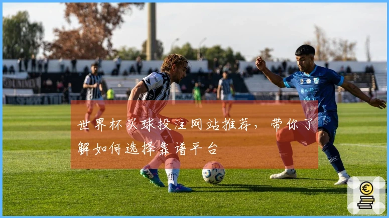 世界杯买球投注网站推荐，带你了解如何选择靠谱平台