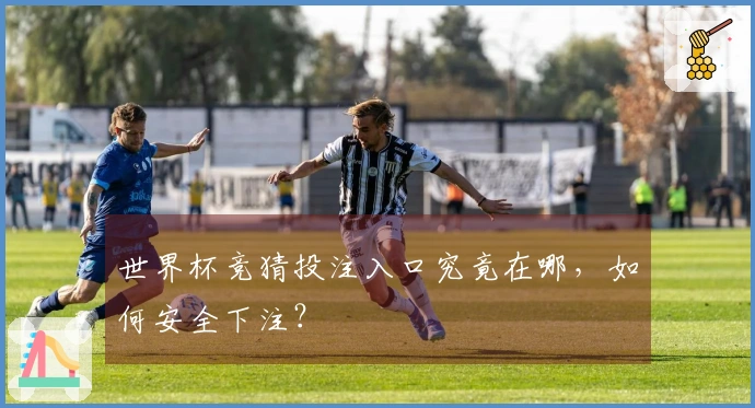 世界杯竞猜投注入口究竟在哪，如何安全下注？