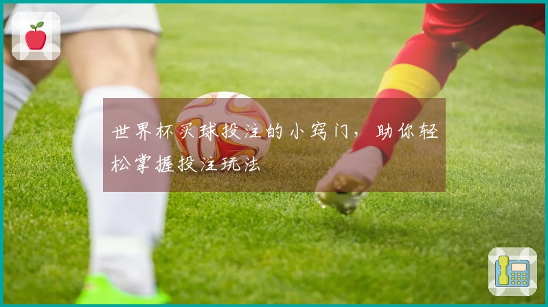 世界杯买球投注的小窍门，助你轻松掌握投注玩法
