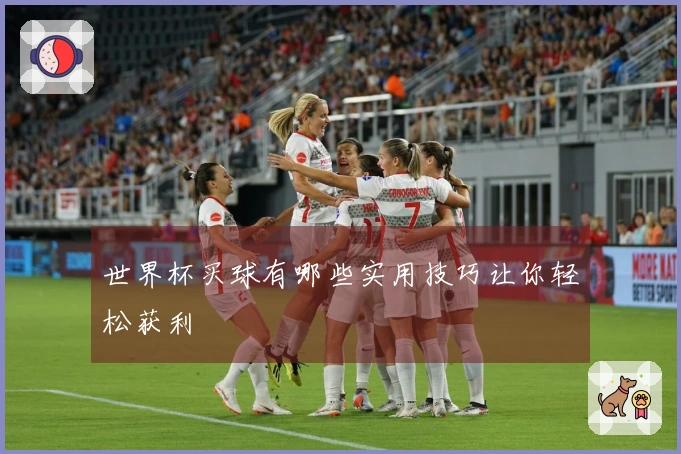 世界杯买球有哪些实用技巧让你轻松获利