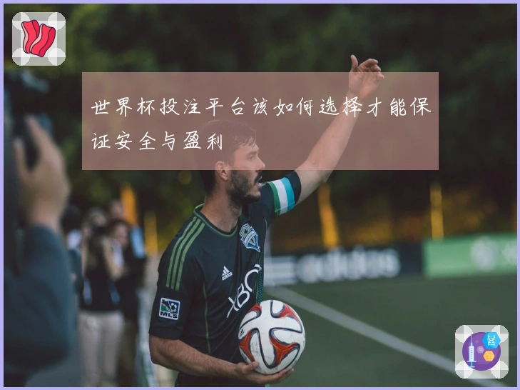 世界杯投注平台该如何选择才能保证安全与盈利