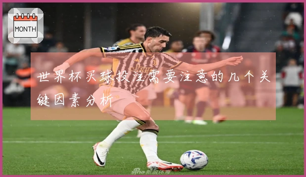 世界杯买球投注需要注意的几个关键因素分析