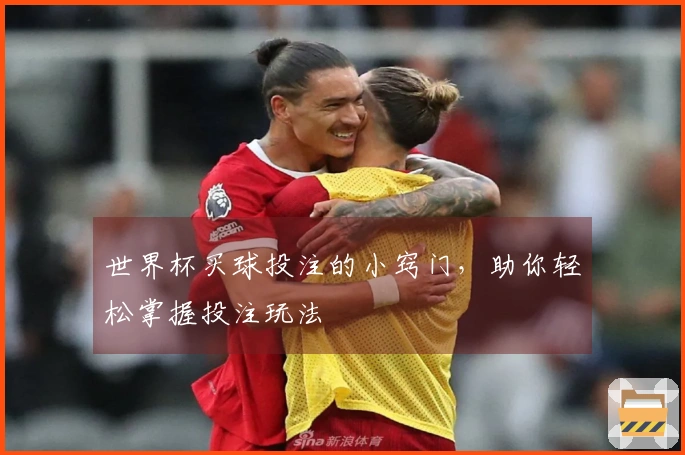 世界杯买球投注的小窍门，助你轻松掌握投注玩法